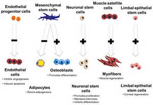 Best dissertation books