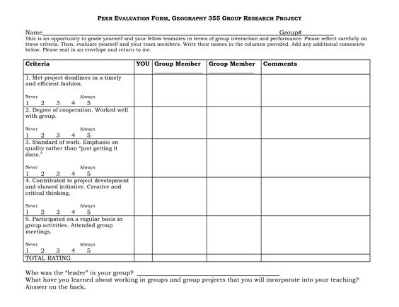Group project evaluation form