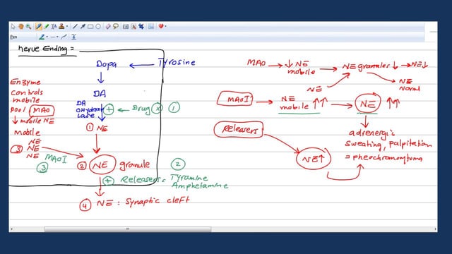 Online pharmacology course